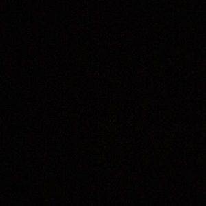 Meet your Posher, Riley